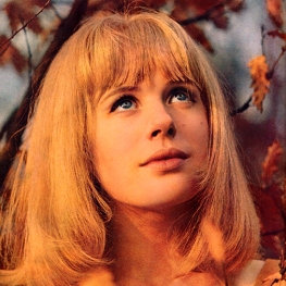 Gered Mankowitz - 1964